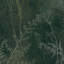 Floral Wallpaper Double Roll-238276534