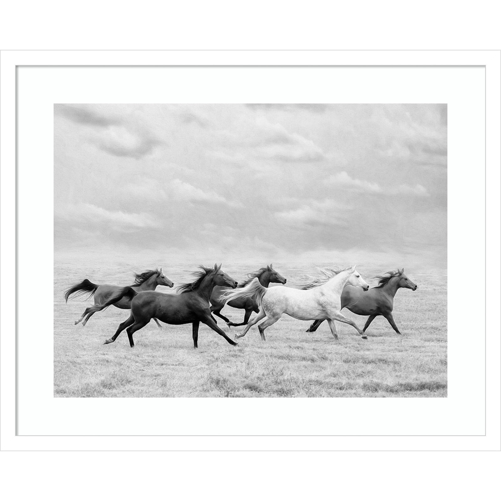 Horse Run I by PHBurchett, 20" H x 25" W, White