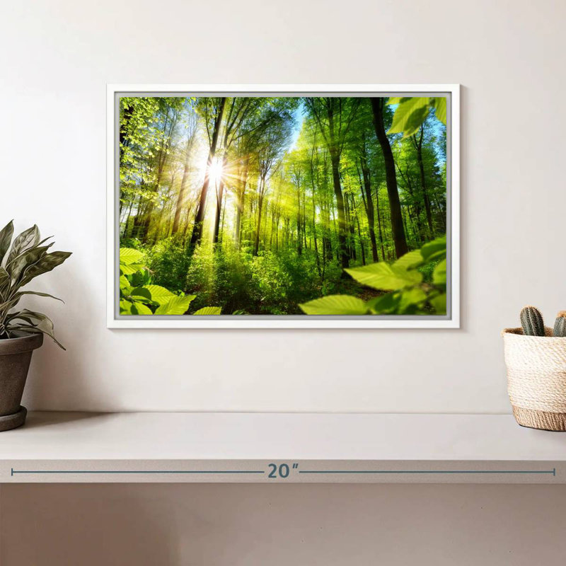 Forêt ensoleillée, Cadre flottant blanc, 13 po x 9 po