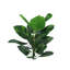 Plante artificielle