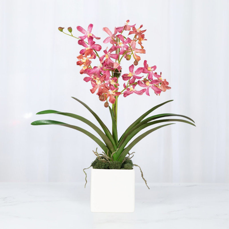 Faux Orchid Plant In White Vase, White, Pink