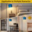  Lampe Arc
