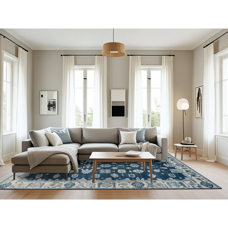 Machine Washable Overdyed Gray Area Rug, Rectangle 6' x 9'