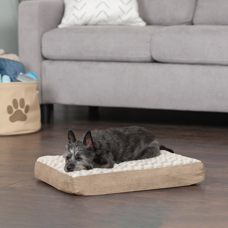 Orthopedic Polyester Pet Bed, Cream, Large (36" W x 27" D x 3" H)