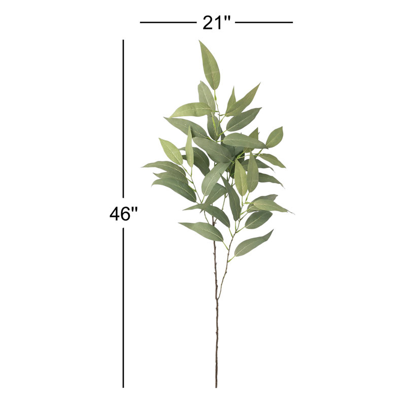 Jet d'eucalyptus