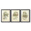 Libellule royale II (PP) - reproduction sur mesure encadrée de qualité supérieure - 3 pièces-195062999-195062998
