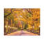 No Frame Print on Canvas