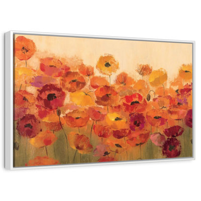 Coquelicots d'été