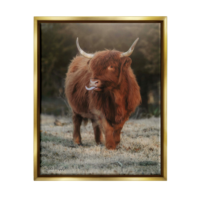 Bouvier Highland, animal de campagne - photographie, H 21 po x l 17 po x P 1,7 po, Cadre flottant métallique doré