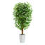180cm Tree