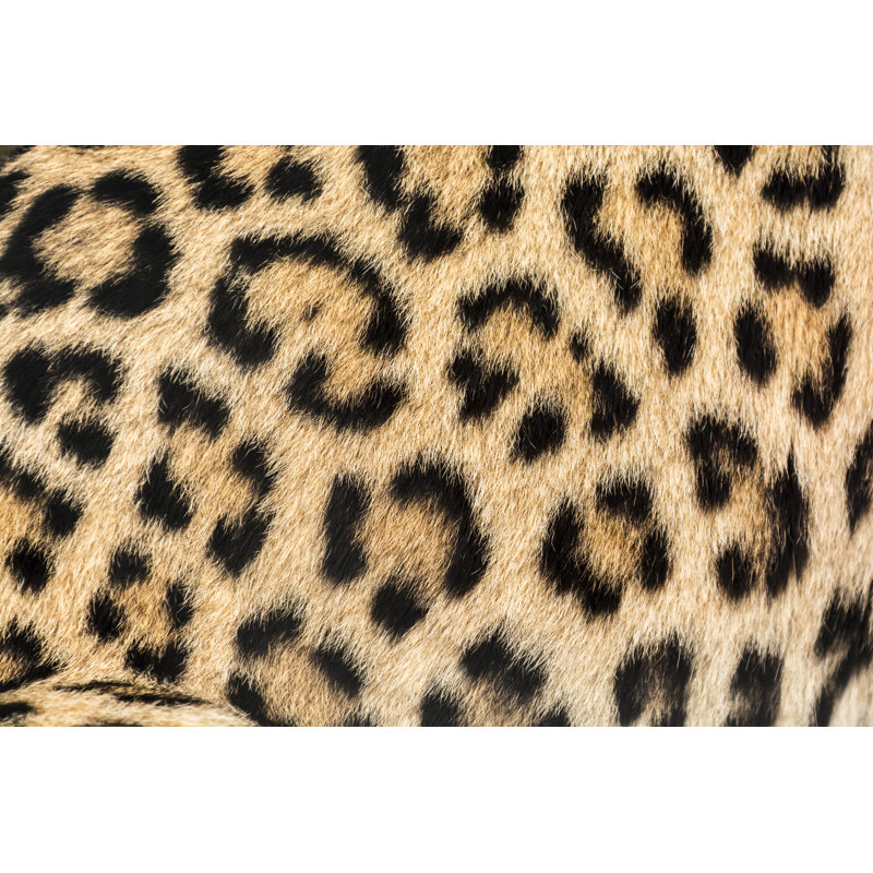Leopard Print - Wrapped Canvas Print, 81cm H x 122cm W