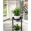 Plant Stand