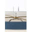 Bimini Table Lamp