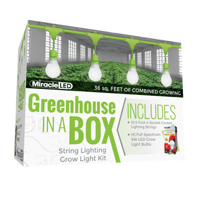 Miracle LED Growing Kit