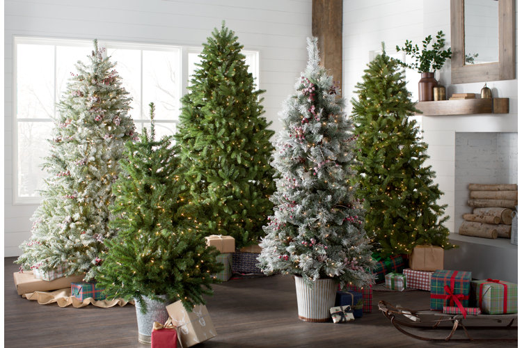 Christmas Tree Types | Wayfair
