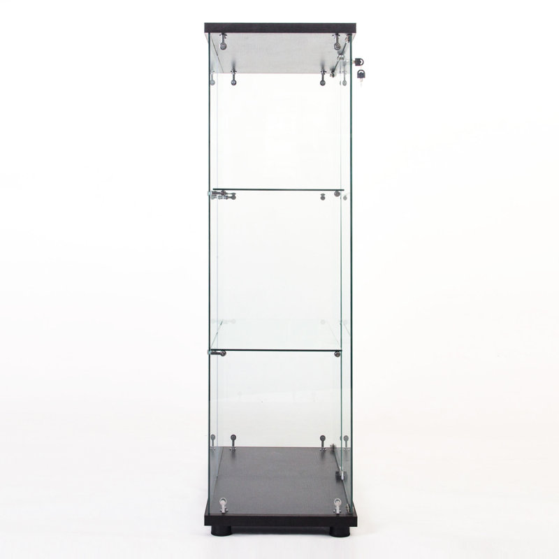 Armoire à une porte en verre noir à 3 tablettes - option esthétique pour la maison
