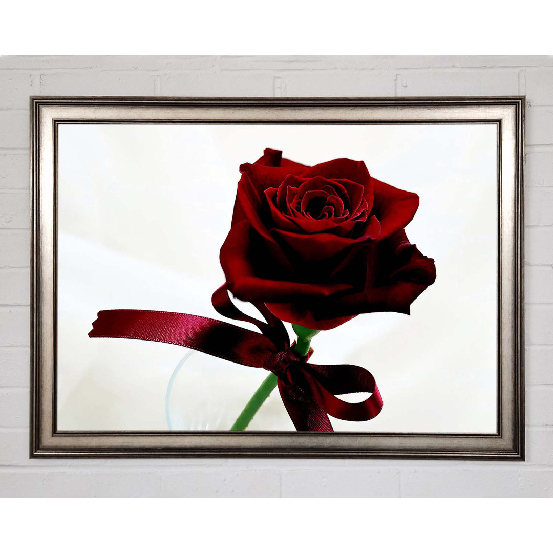 Deep Red Rose - Einzelner Bilderrahmen Kunstdrucke