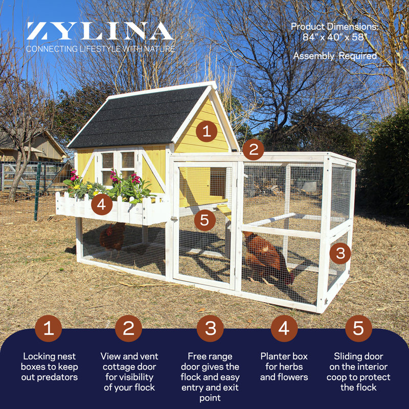 23.4 Square Feet with Chicken Run