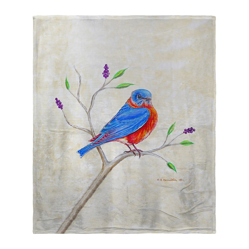 Jeté Dick's Bluebird