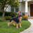 Outdoor German shepherd Dog Statue