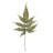 0.0625'' Plant