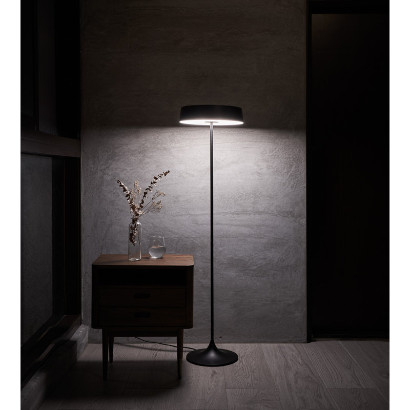 China Floor Lamp, Matte Black