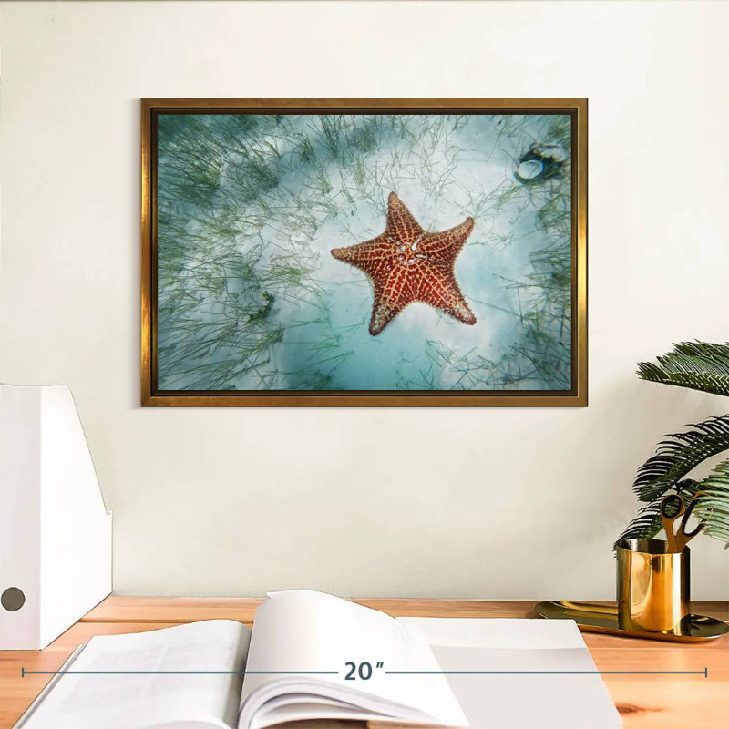 Étoile de mer peu profonde, Cadre flottant doré, 13 po x 9 po