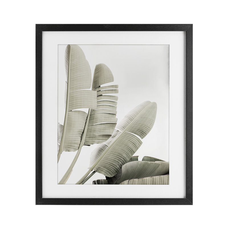 «Fanning Banana Leaves», reproduction encadrée sous verre, conception de Sissi et Seb, H 16 po x l 13 po, Cadre noir minuit