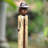 People Statue