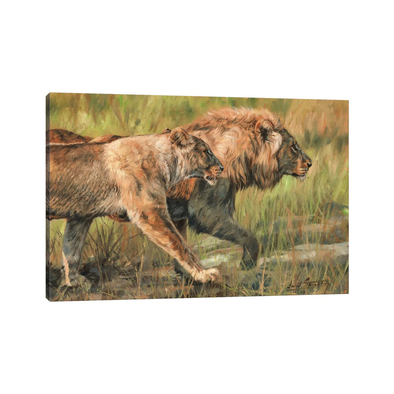 Lion And Lioness by David Stribbling - Wrapped Canvas Print, 66.04 cm H x 45.72 cm W x 1.91 cm D