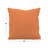 Gabi Sunbrella® Indoor/Outdoor Throw Pillow-55388395-54696652
