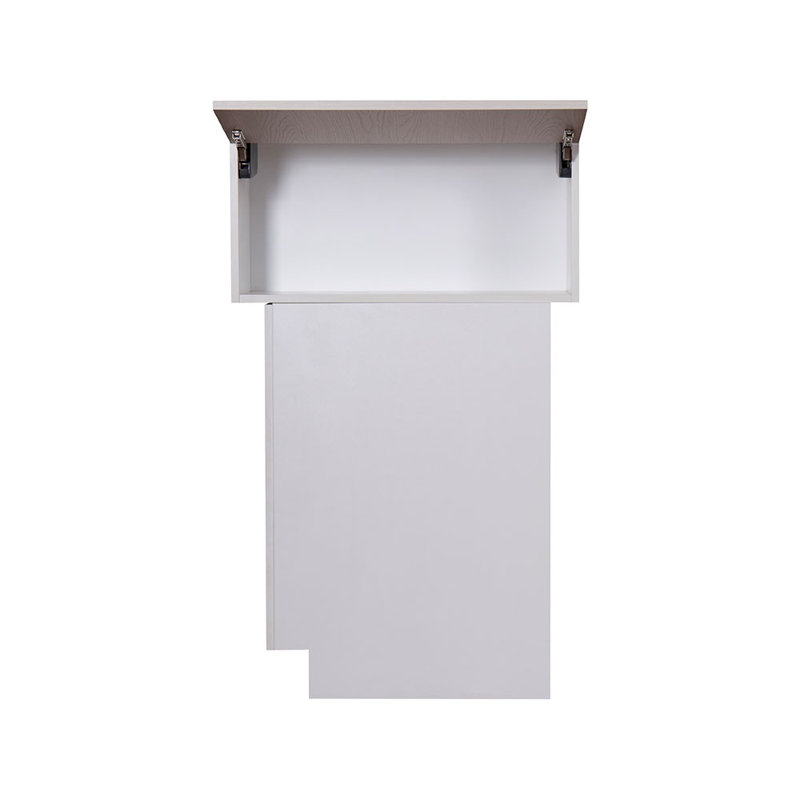 Armoire murale rabattable à une porte WFL3018