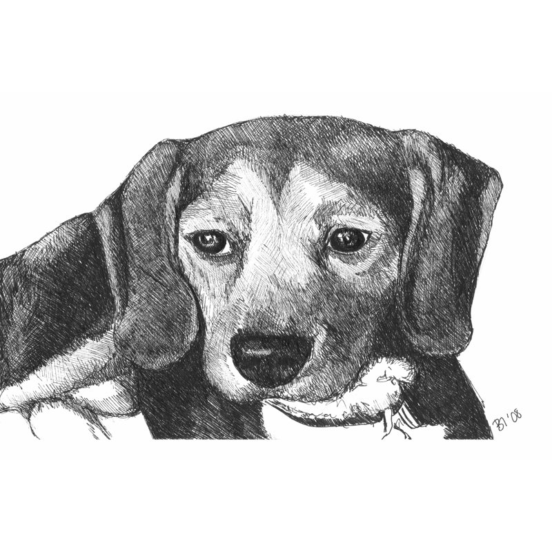 Lindy The Beagle - Wrapped Canvas Print, 30cm H x 46cm W