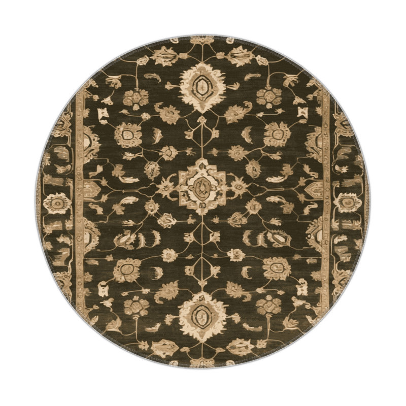 Overdyed Brown Indoor and Outdoor Area Rug, Round 5'