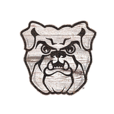 NCAA Sports And Sports Teams Wall Decor