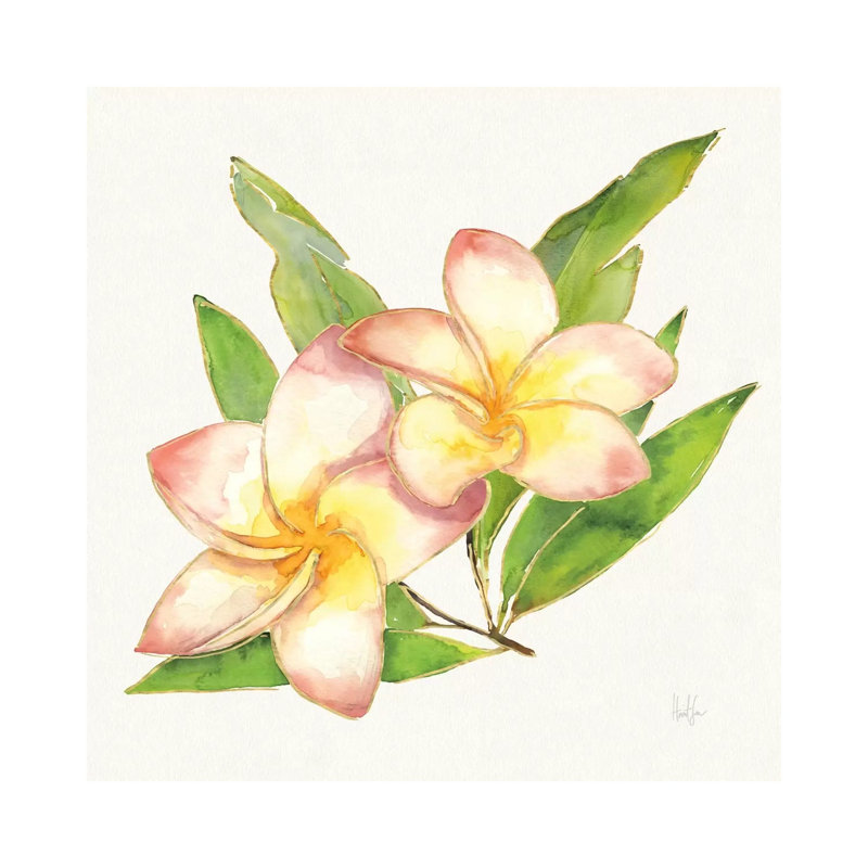 Tropical Fun Flowers I by Harriet Sussman - Wrapped Canvas Painting, 30.48 cm H x 30.48 cm W