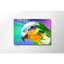 Boze Print on Glass-100400968