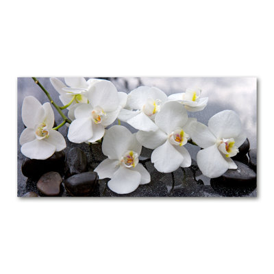 Orchid - Wrapped Canvas Print