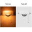Glass Wall Sconce