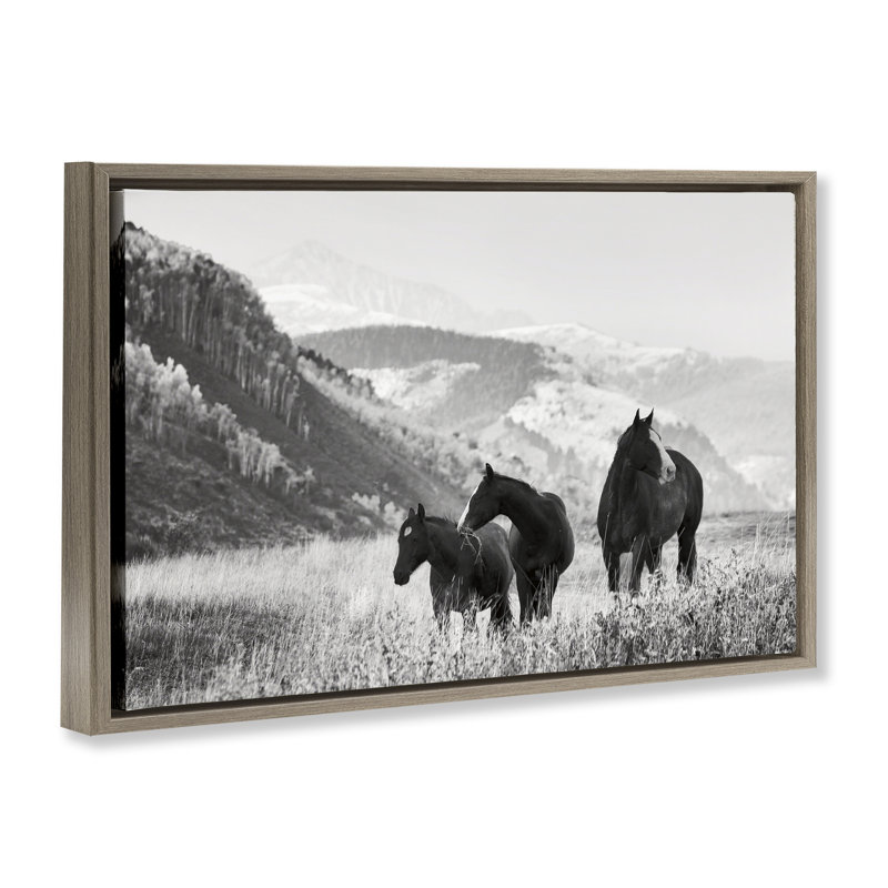 «Horse Trio on Mountainside», art mural encadré par Danita Delimont, H 17 po x l 25 po, Cadre flottant orme Montalcino