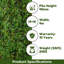 Brioney 40mm Premium Artificial Grass For Lawn, Non-Slip Fake Grass-3m(9'9") X 4m(13'1")-12m²-592367053