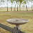 Plastic / Acrylic Single Tier Birdbath