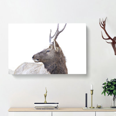Young Elk - Wrapped Canvas Painting