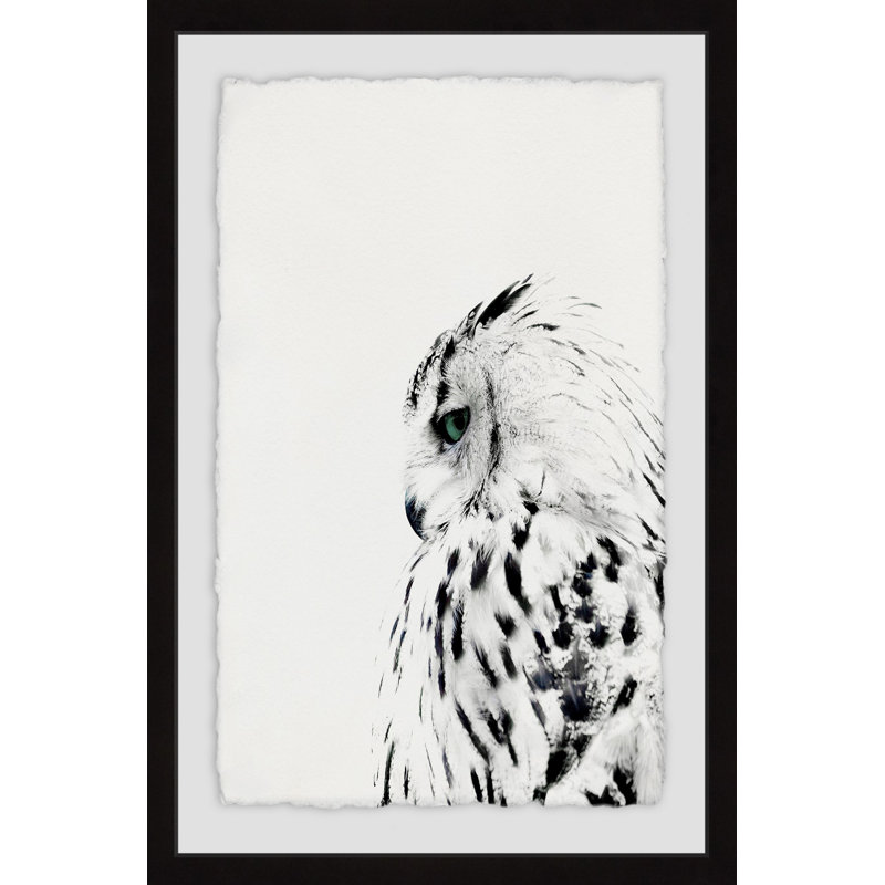 «Steely Gaze» par Maria Giovanni - impression encadrée, H 18 po x l 12 po x P 1,5 po