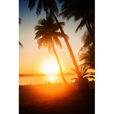 Tropical Sunset - Wrapped Canvas Print