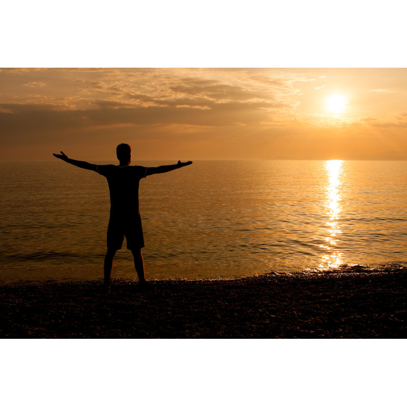 Greeting The Sunset by LittleBee80 - Wrapped Canvas Print, 30cm H x 46cm W