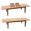 Marsily Outdoor 11 - Piece Teak Dining Set-1252230288