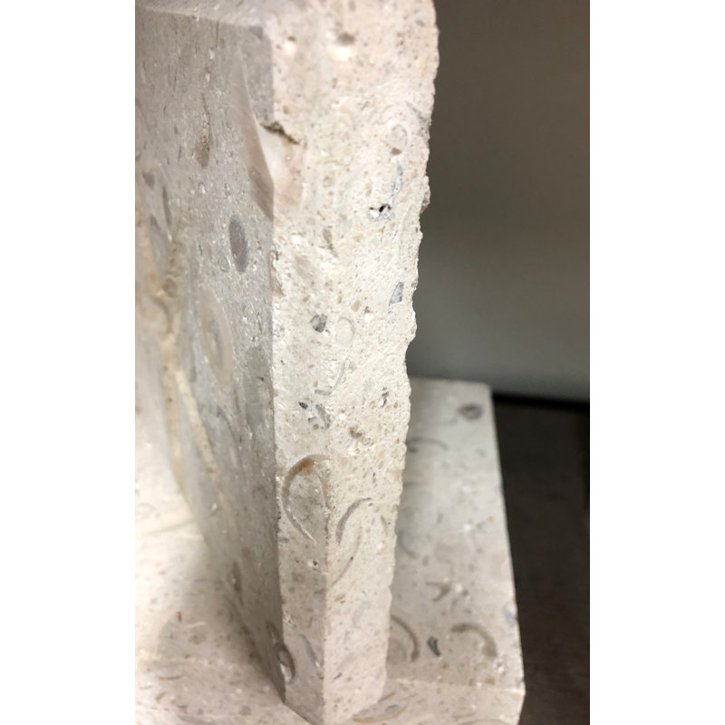 6" x 6" SeaStone Cement Cut Shell Scroll Fossil Bevel Edge Medallion Tile in Beige