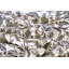 Ardmore Outdoor Fabric-1675682823