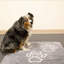 Napperon Perro & Gato-78370604-78370606